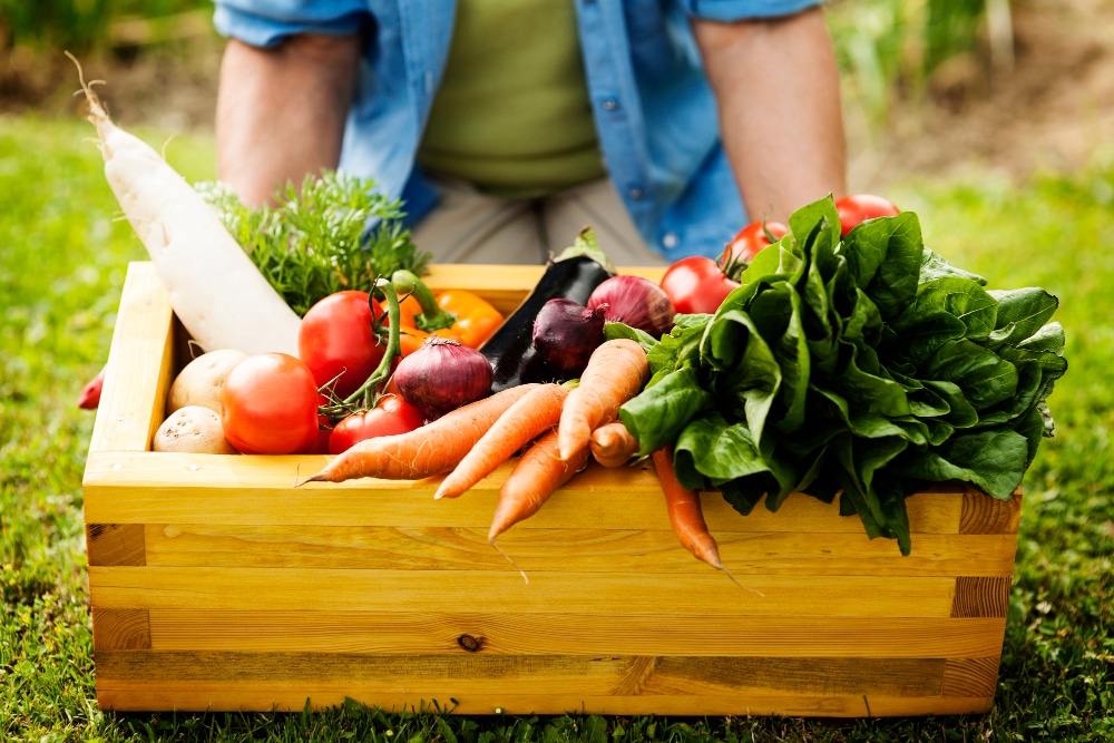 Descubra os segredos e mitos sobre alimentos orgânicos: do campo à mesa