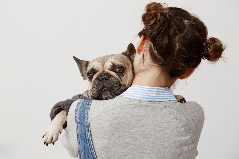 As diferenças e as semelhanças entre os donos de cachorros e os donos de gatos, e como eles se identificam e se relacionam com seus animais de estimação