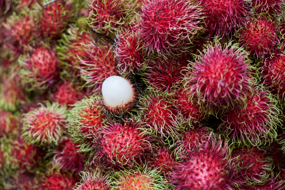 As frutas mais raras e exóticas que existem na natureza