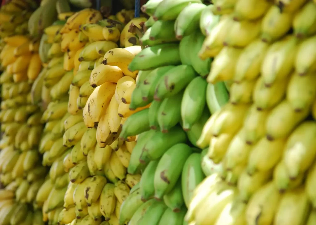 Como Guardar Banana para Ela Não Amadurecer Muito Rápido: Dicas Infalíveis para Conservar sua Fruta Fresca