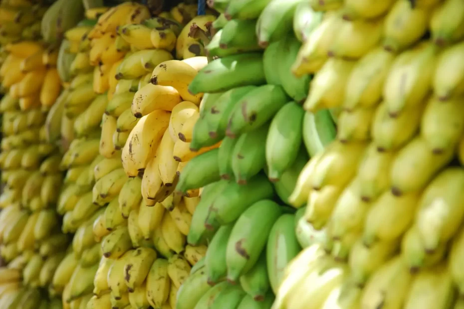 Como Guardar Banana para Ela Não Amadurecer Muito Rápido: Dicas Infalíveis para Conservar sua Fruta Fresca